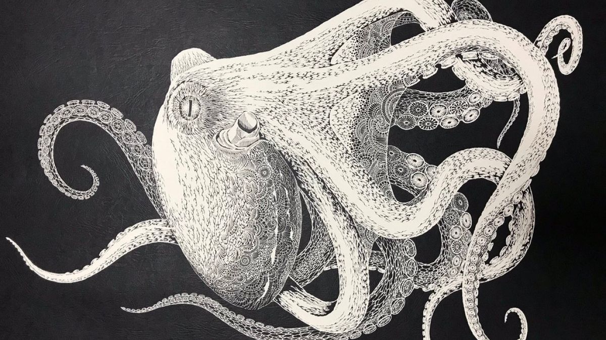 Watch: This beautiful octopus was cut out of a single piece of