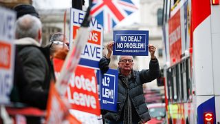 Pro-Brexit activists protest outside the UK Houses of Parliament.