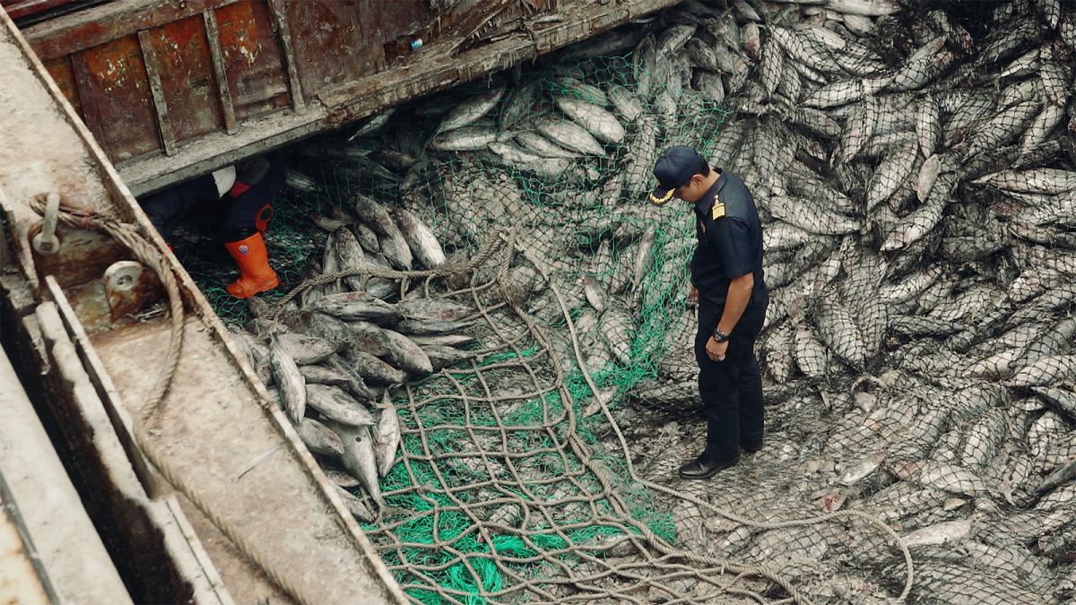 How the EU stamped down on decades of illegal fishing in Thailand