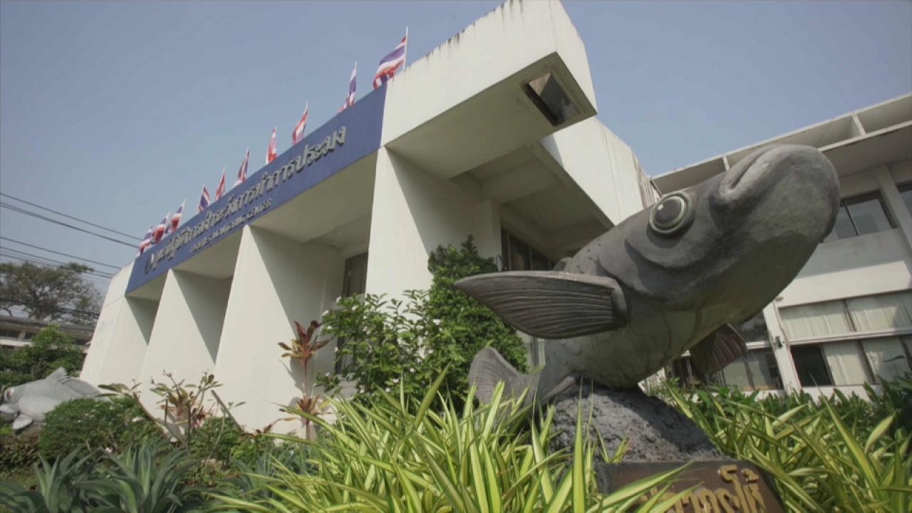 Таиланд: на избавление от "жёлтой карточки" ушли годы