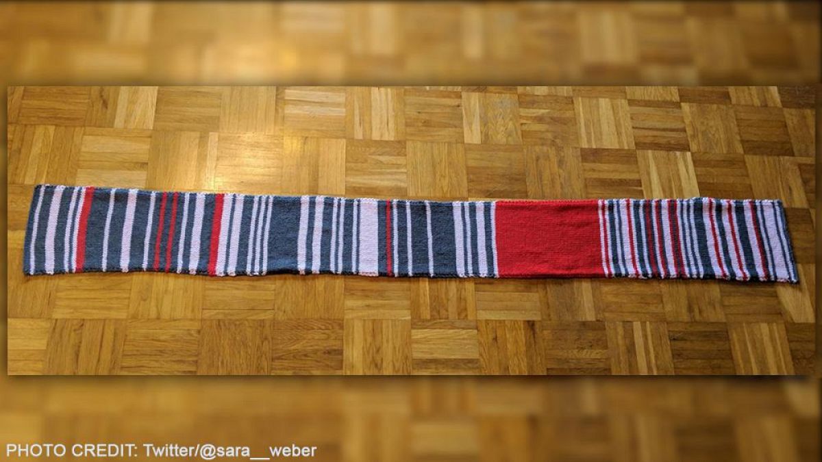 Train operator buys 'rail delay scarf' by frustrated German commuter for €7,500