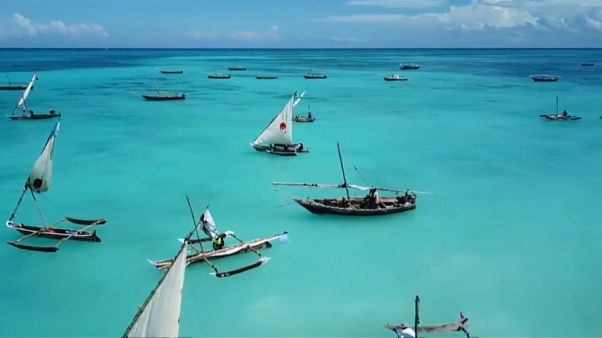 Kraken Cup: nel blu, dipinto di blu di Zanzibar Kraken Cup: nel blu, dipinto di blu di Zanzibar