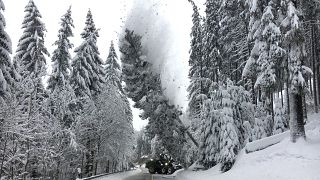 Severe snowfall brings parts of Europe to a grinding halt