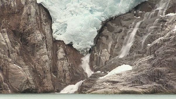 ¿Cómo combatir el cambio climático desde la Patagonia chilena? ¿Cómo combatir el cambio climático desde la Patagonia chilena?