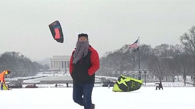 Snow lovers face off in Washington DC's first snowball fight of 2019