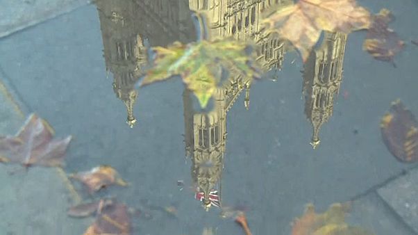 Un grupo de eurodiputados pide a Reino Unido que "reconsidere" el Brexit Un grupo de eurodiputados pide a Reino Unido que "reconsidere" el Brexit