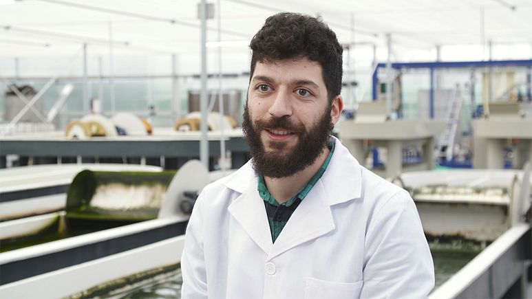 چگونه می‌توان شرایط کشت ریزجلبک‌ها را بهینه کرد؟