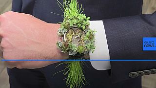 The watch made of plants