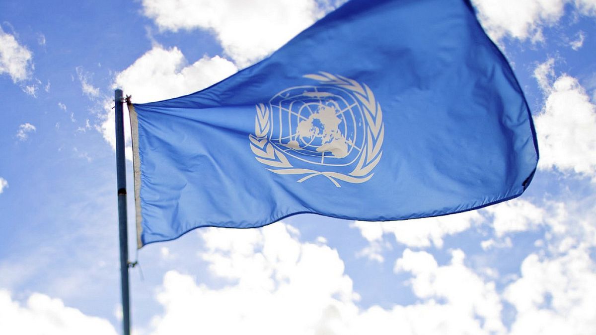 Her üç Birleşmiş Milletler çalışanından biri cinsel tacize maruz kalıyor