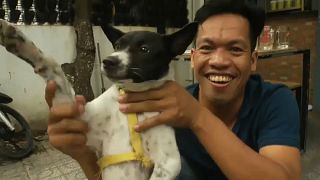 وللناس فيما يعشقون.. شاهد كيف تُسلق الكلاب وتشوى ثم تقدم على الموائد في كمبوديا ؟