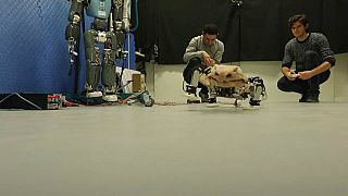 German researchers make robot to simulate pre-historic creature's movements