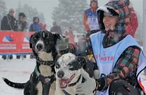 "Большая Одиссея" для собак и их хозяев