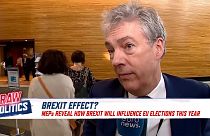 Paul Brennan, British MEP on Brexit's influence on EU elections.