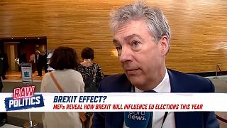 Paul Brennan, British MEP on Brexit's influence on EU elections.