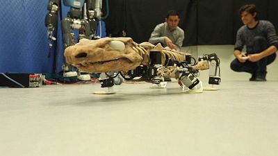 Forscher bauen Roboter eines Ursauriers: Sein Gang soll zeigen, wie er lebte