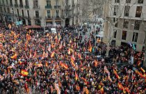 Pro-Spain demonstrators in Barcelona