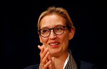 AfD nennt 14 Namen von Spendern an Weidel-Wahlkreis