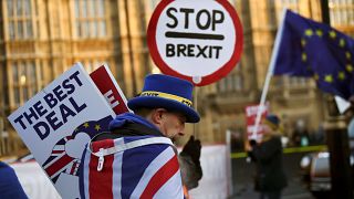 An anti-Brexit protester outside the Houses of Parliament on Jan 17, 2019.