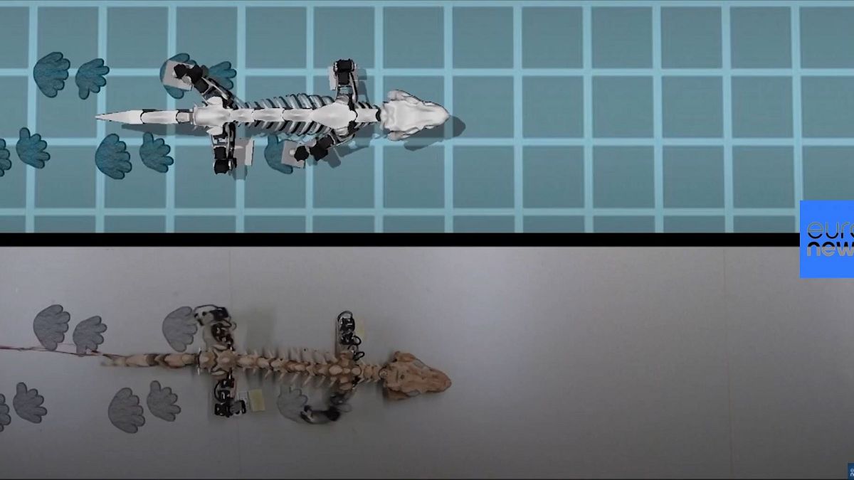 Ученые создали робота, симулирующего походку древнего животного 