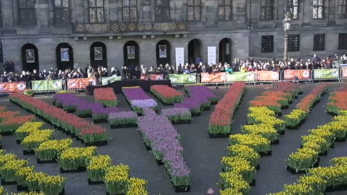 The Netherlands celebrates National Tulip Day