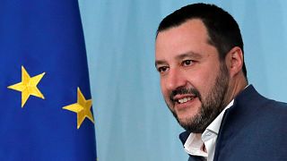 Italy's Interior Minister Matteo Salvini on January 14, 2019.