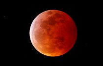 'Super blood wolf moon': the best images as total lunar eclipse wows skygazers