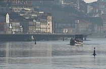 Microplásticos invadem rio Douro