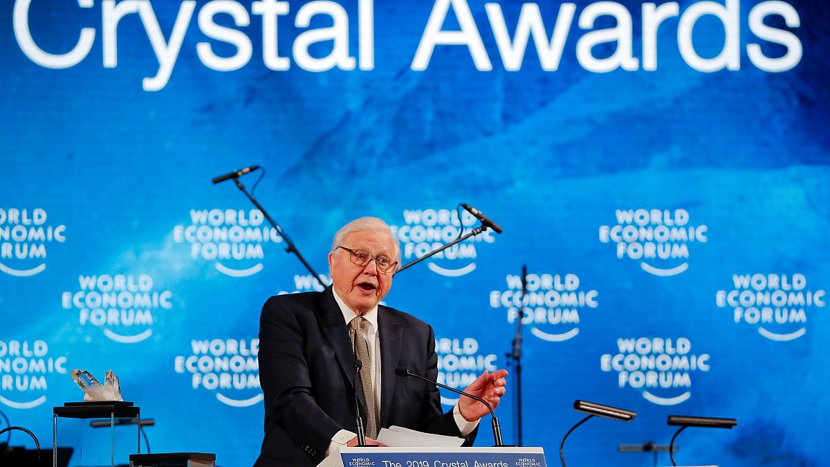 David Attenborough calls for 'practical solutions' to combat climate change in Davos speech