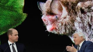 El príncipe Guillermo entrevista al naturalista Attenborough en el Foro Económico Mundial de Davos