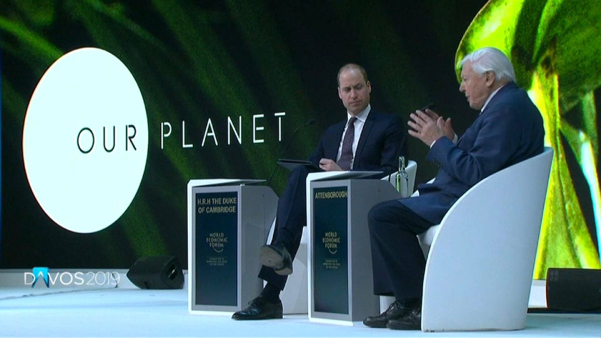 Davos: "Se puede hacer mucho dinero y proteger el medio ambiente"