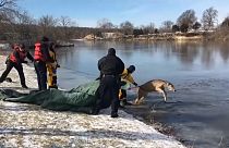 Firefighters rescue deer from icy lake in Kansas
