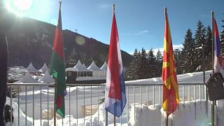 Liam Fox in Davos: Handel vor Politik