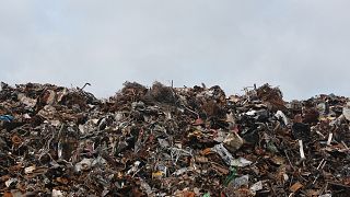 Кто в Европе больше всех мусорит?