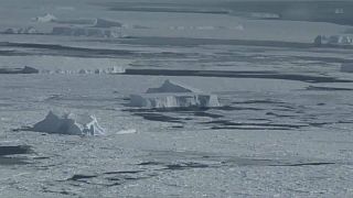 Scientists drill over 2km through ice layer in West Antarctica for first time ever