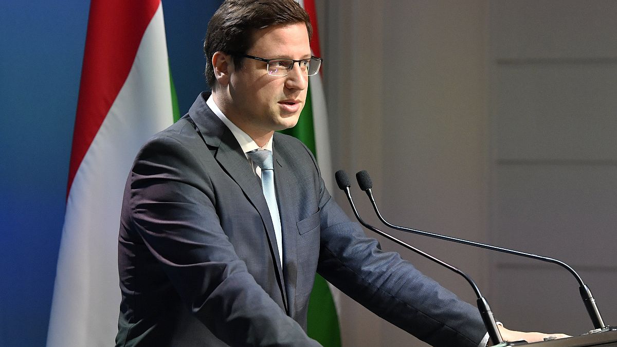 Gulyás: Birnbaummal sem a kormány, sem a Fidesz nem állt semmilyen szerződéses jogviszonyban