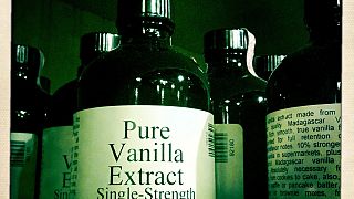  Pure Vanilla Extract