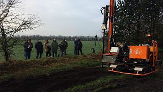 Denmark builds border fence with Germany to keep infected wild boar away