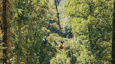 5 ways to explore Asheville's stunning Appalachian Mountains 5 ways to explore Asheville's stunning Appalachian Mountains