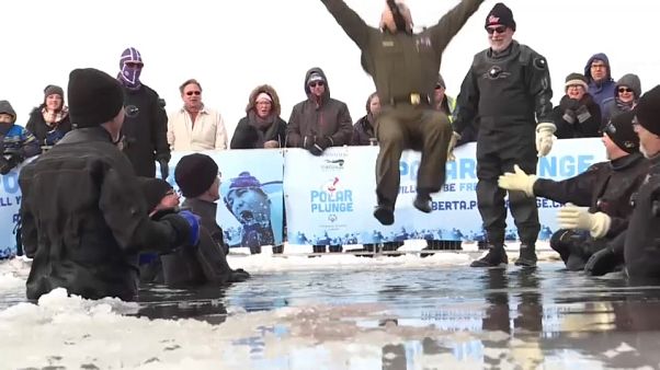 Canada : ils sautent dans l'eau glacée pour la bonne cause Canada : ils sautent dans l'eau glacée pour la bonne cause