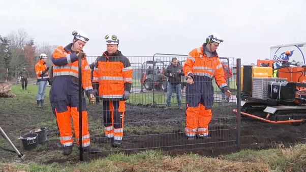 La peste porcine africaine inquiète les Européens, les Danois érigent une barrière La peste porcine africaine inquiète les Européens, les Danois érigent une barrière