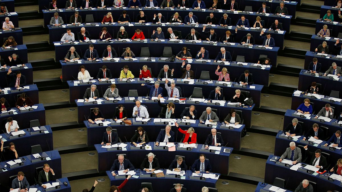 'Bizarre and unacceptable': MEPs slammed over wanting secret ballot for transparency vote