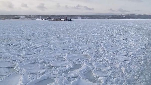 Le ballet des glaces flottantes au Japon Le ballet des glaces flottantes au Japon