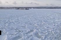 К побережью Хоккайдо прибило лед