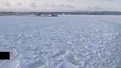 К побережью Хоккайдо прибило лед