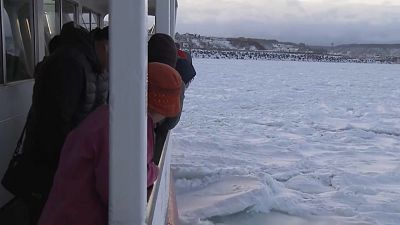 Japonya'da buzullar arasında gemi seyahati