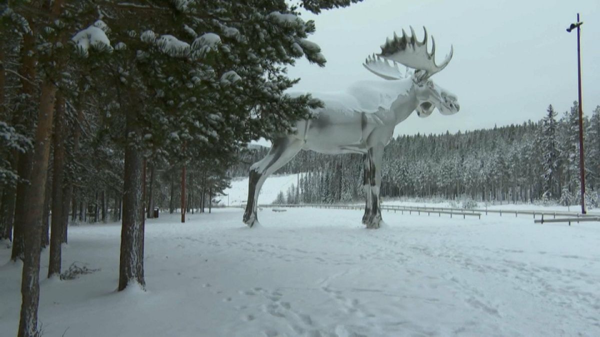 النرويج وكندا تتنافسان على لقب أكبر تمثال أيل في العالم 
