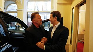 Arnold Schwarzenegger meets Austrian chancellor for talks ahead of climate change summit