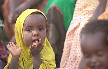 Ethiopia: 3 million internally displaced in escalating humanitarian crisis