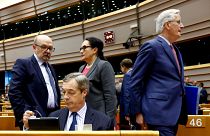 Nigel Farage says the UK could use WTO rules to ease EU departure