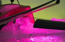 Музыка льда в итальянских Альпах